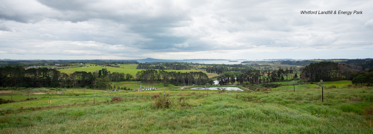 WDS-SustainabilityPage